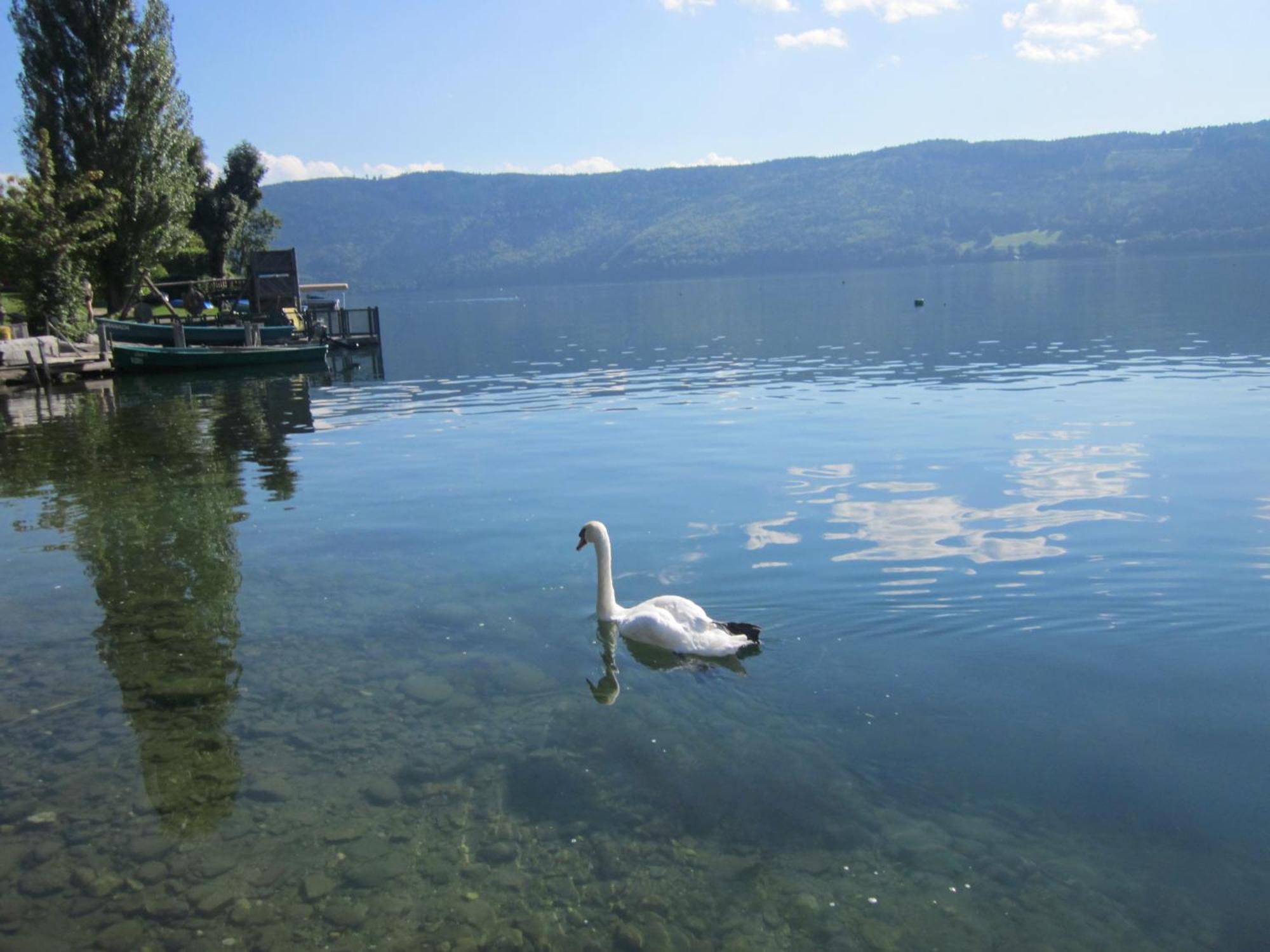 Ferienwohnung Moser Am See Millstatt Exterior photo